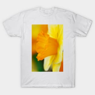 Narcissus  'Derringer'  Daffodil  Div. 7  Jonquilla T-Shirt